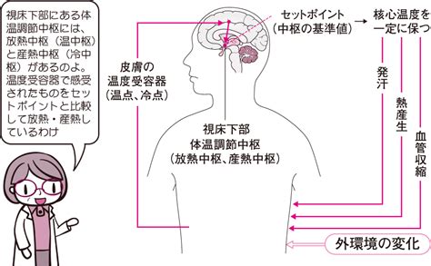 調節作用